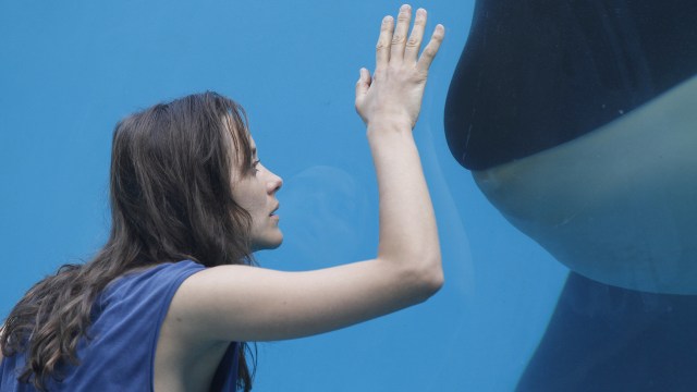 rust and bone2