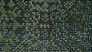 the shining maze